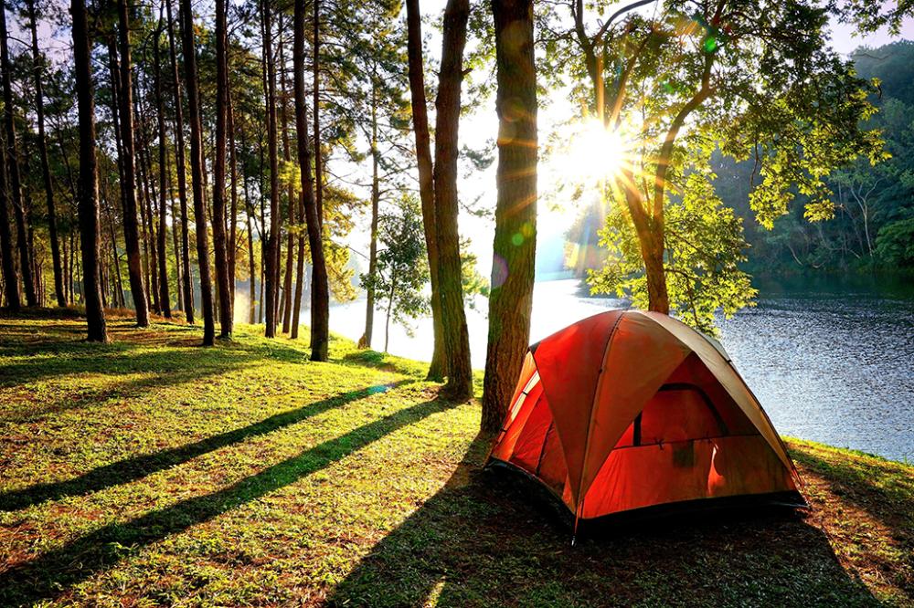 Camping 2 services