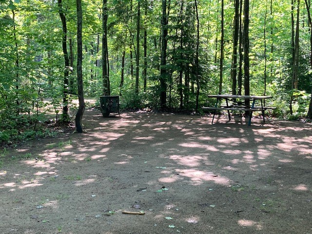 Le sentier en forêt